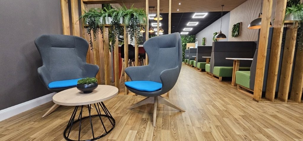 Comfy quiet lounge chairs with blue seat pads