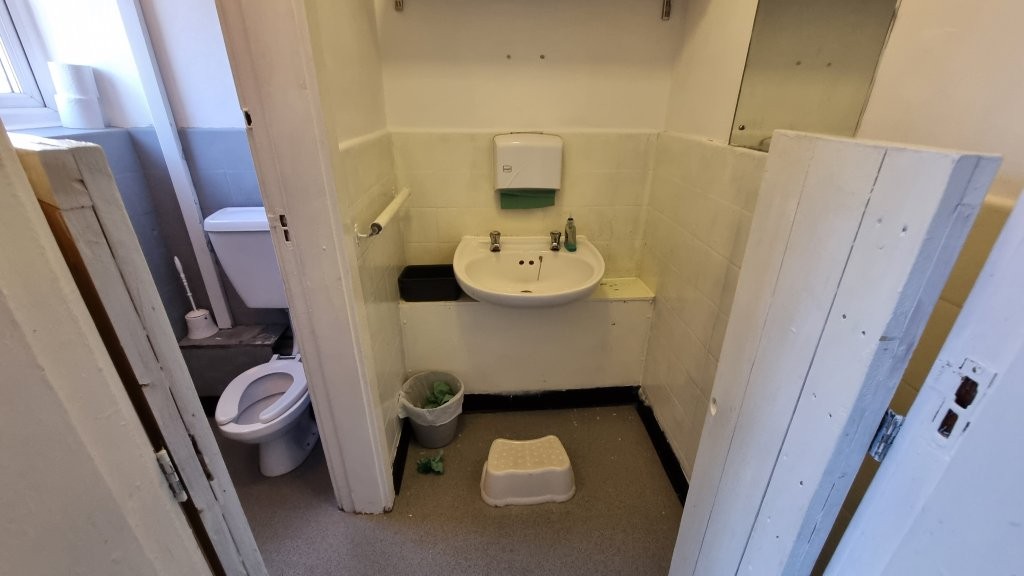 sink and infant toilet